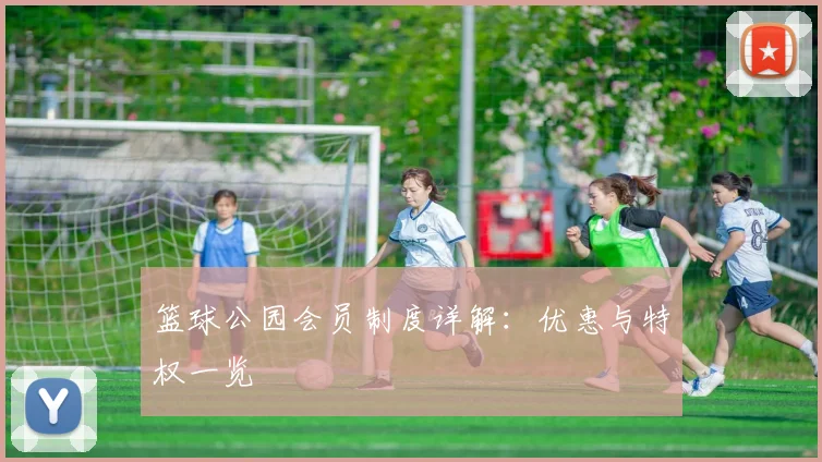 篮球公园会员制度详解:优惠与特权一览