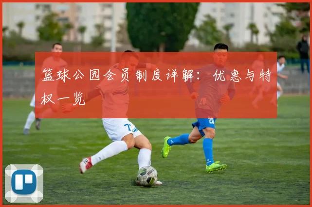 篮球公园会员制度详解:优惠与特权一览