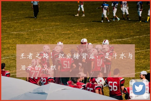 王者之路！积分榜背后，是汗水与泪水的交织