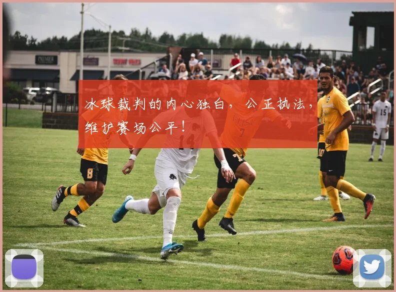 冰球裁判的内心独白，公正执法，维护赛场公平！