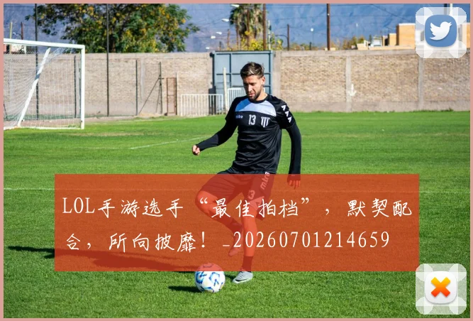 LOL手游选手“最佳拍档”，默契配合，所向披靡！_20260701214659