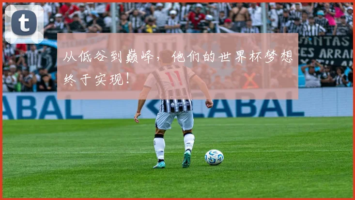 从低谷到巅峰,他们的世界杯梦想终于实现!