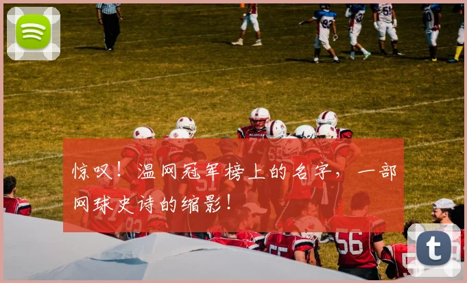 惊叹!温网冠军榜上的名字,一部网球史诗的缩影!
